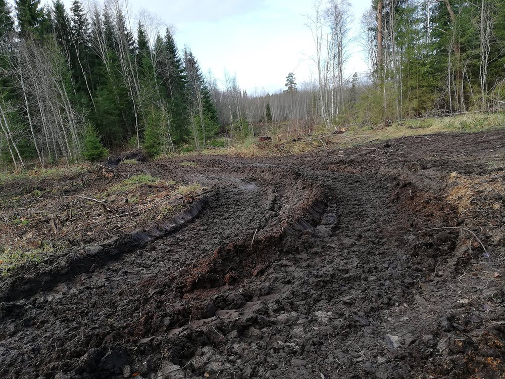 Palav suvepäev ja torm nr. 2 – Änniste (Järvamaa) tänapäeval