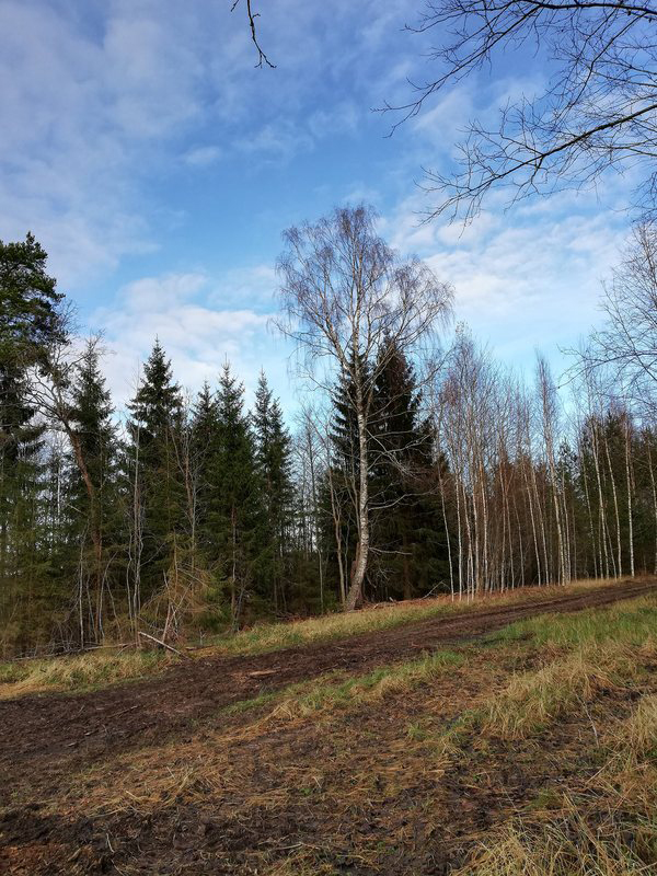Palav suvepäev ja torm nr. 2 – Änniste (Järvamaa) tänapäeval