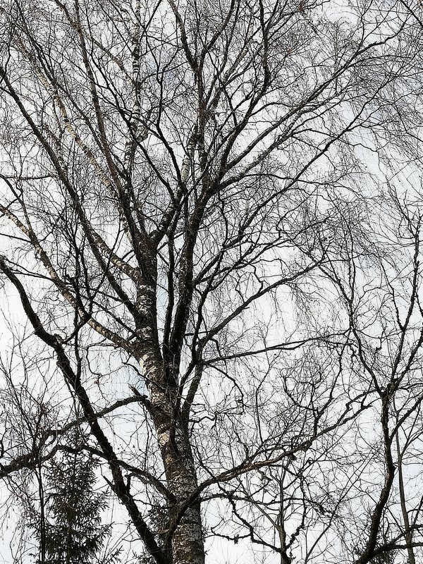 Palav suvepäev ja torm nr. 2 – kord lõi äike just sellesse kaske