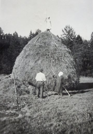 Tulid kolhoosid – heinategu kolhoosis